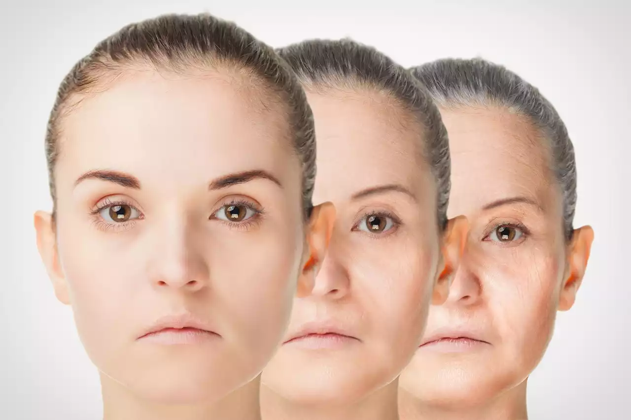 “Unexpected” – Scientists Discover an Anti-Aging Mechanism