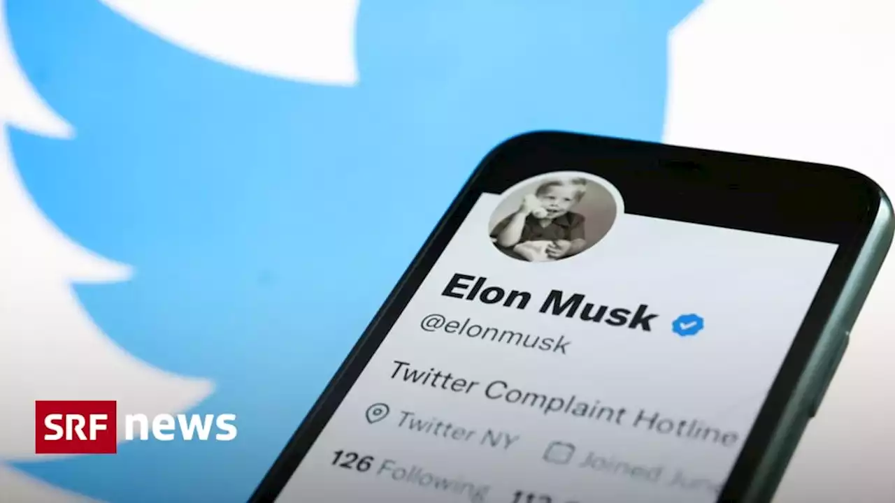 Zukunft von Twitter - Auch Elon Musk wird den Abstieg nicht aufhalten können