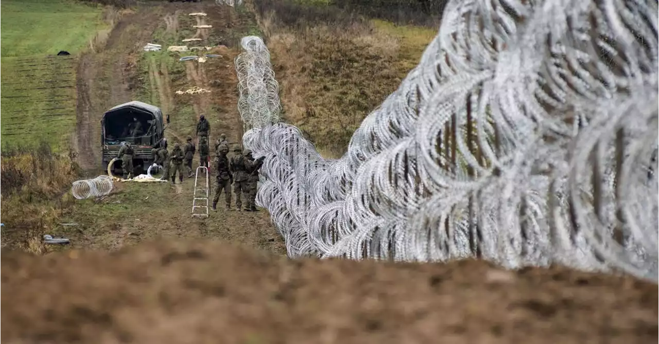 La Pologne installe à sa frontière avec la Russie 210 kilomètres de barbelés contre l’immigration illégale
