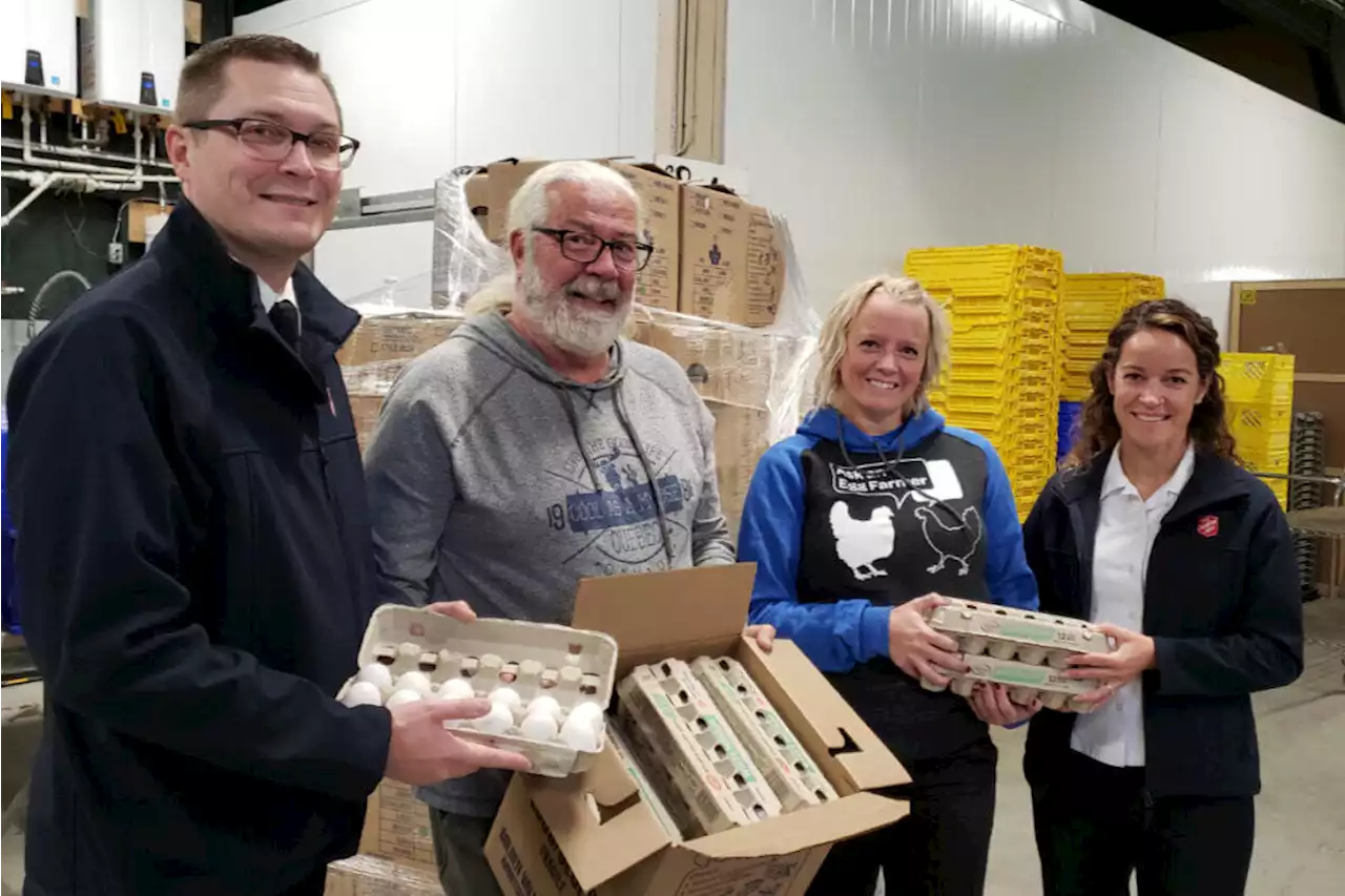 600,000 eggs donated by farmers to food banks across B.C. by end of 2022 – Terrace Standard