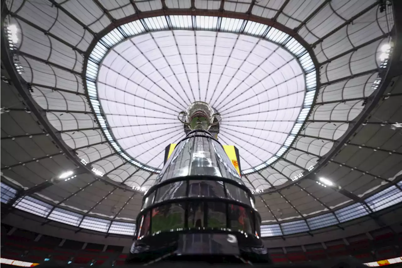 THE MOJ: Grey Cup latest step in Doman’s bid to reconnect B.C. with the Lions – Terrace Standard