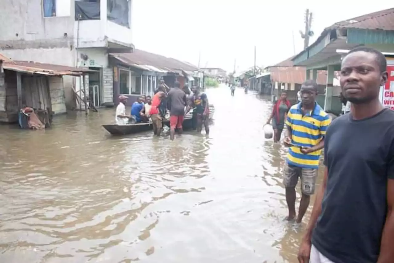 Flooding: Declaring Jigawa as worst-hit state is based on bogus data, Bayelsa tells FG | TheCable