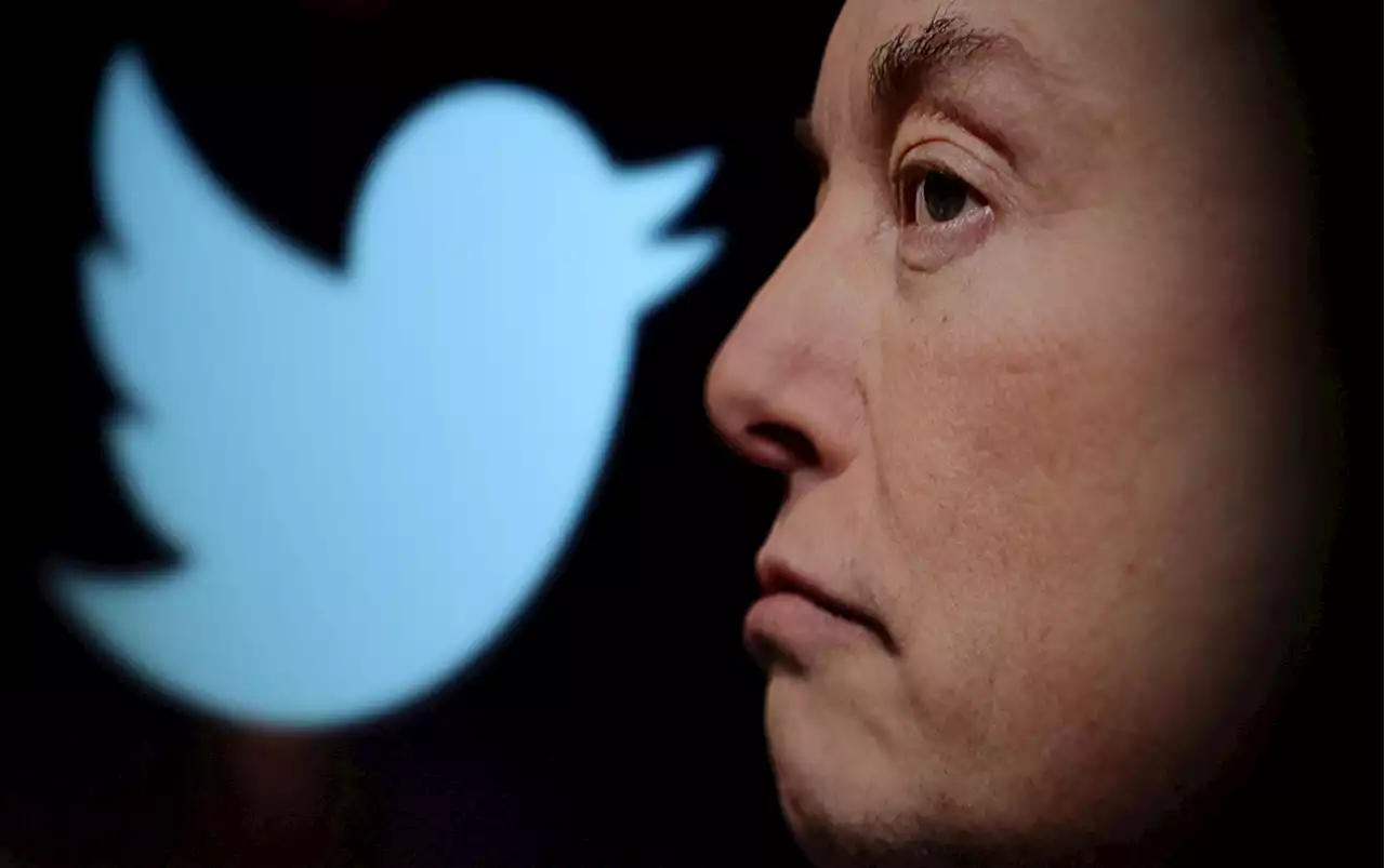 Thanks Elon Musk, you've proved the world is better off without Twitter