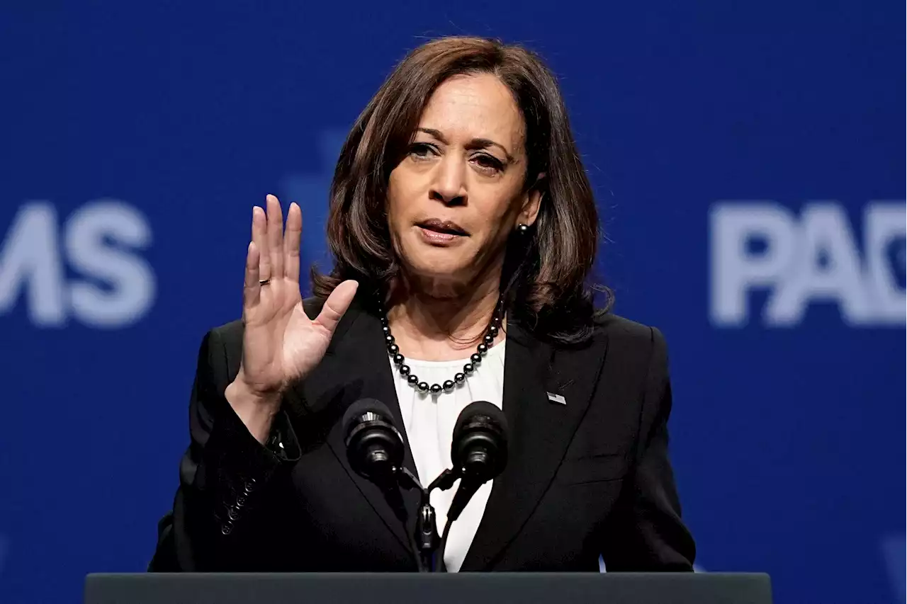 The Kamala Harris problem: How the US Vice President's dream turned to dust