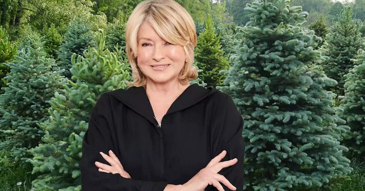 Real or artificial Christmas tree? Martha Stewart settles the debate