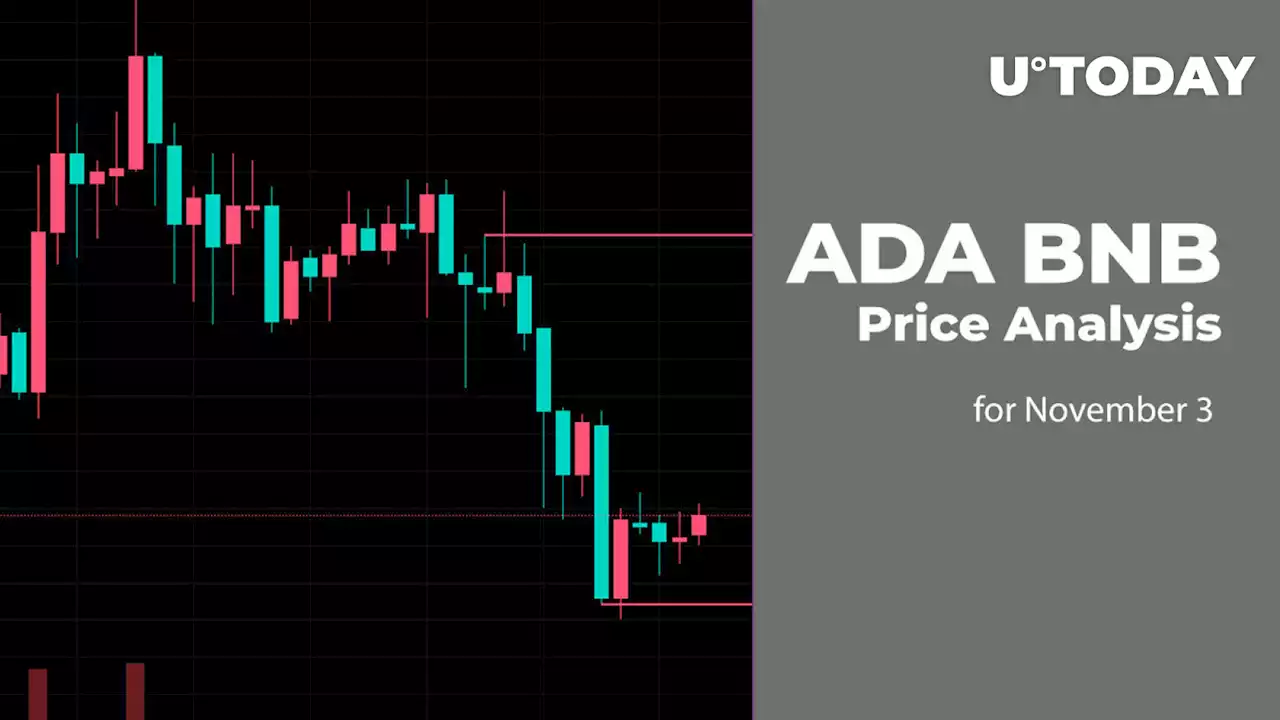 ADA and BNB Price Analysis for November 3