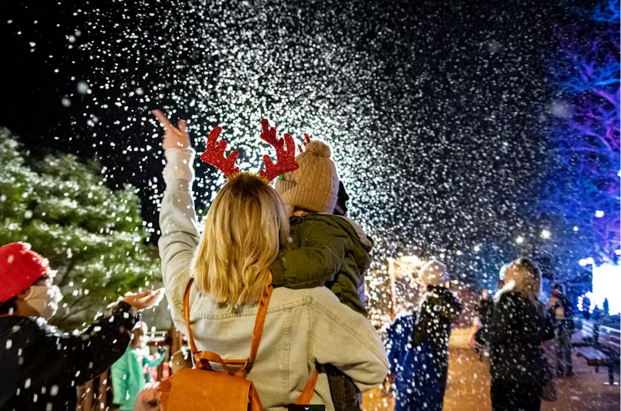 New Holiday Lights Festival in Maryland Boasts Bonfires and Snow Every Night