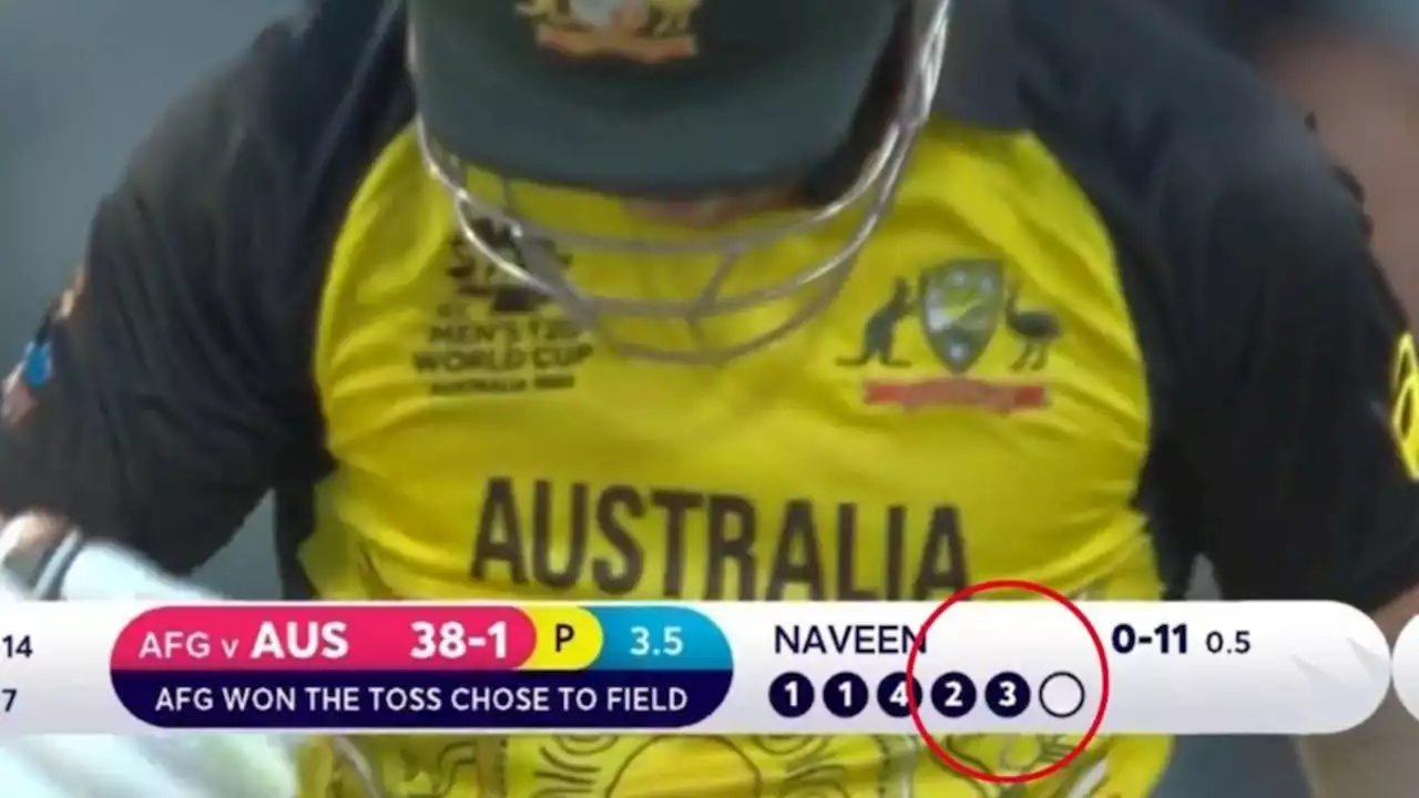 ‘Totally unacceptable’ umpiring blunder goes unnoticed: ‘How is it possible?’