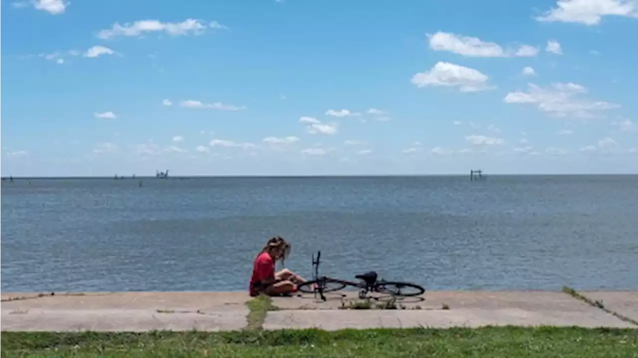 Sábado con una máxima de 25 grados en la Ciudad de Buenos Aires y alrededores