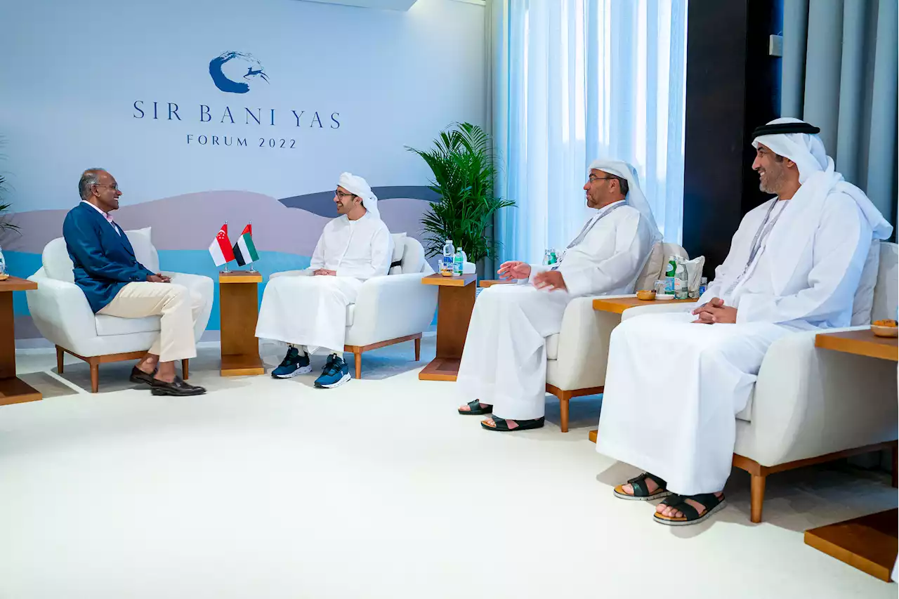 عبدالله بن زايد يستقبل وزير الداخلية والقانون في سنغافورة