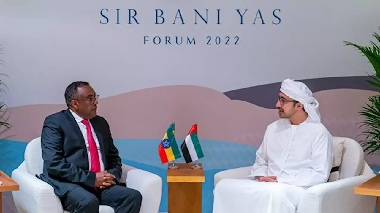 عبدالله بن زايد يستقبل نائب رئيس الوزراء وزير الخارجية الإثيوبي
