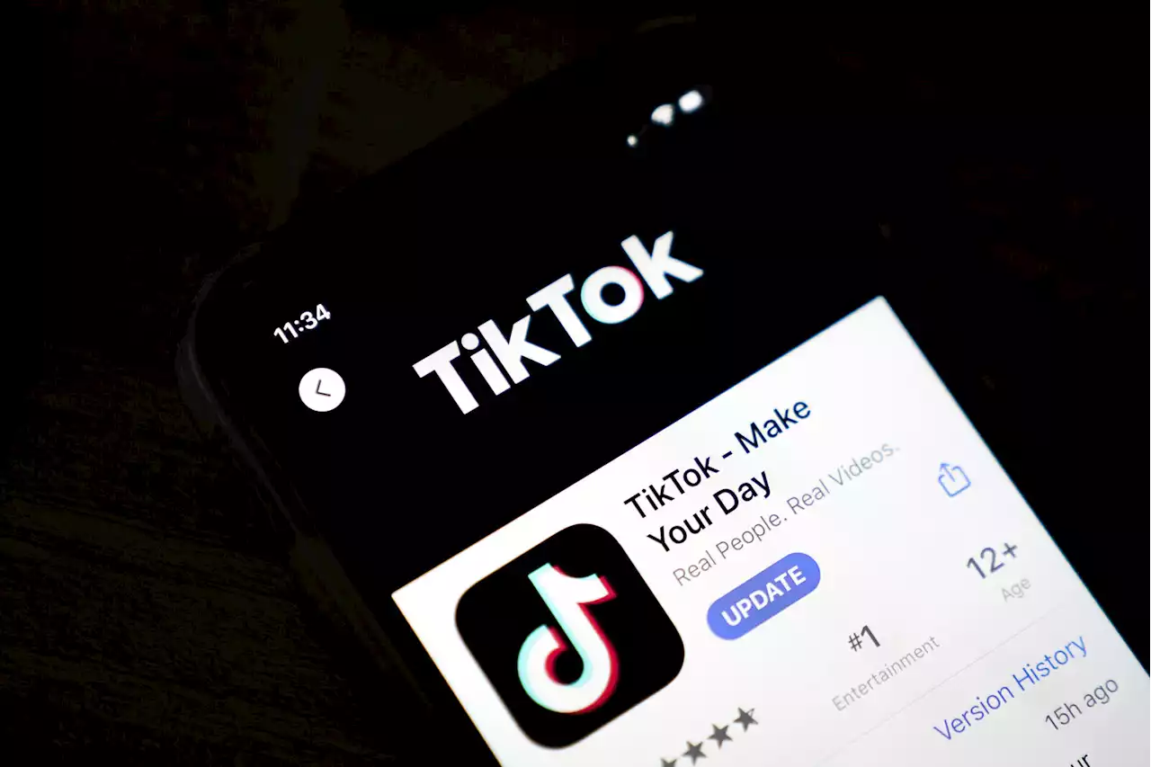 FCC Commissioner: TikTok is not the fun, risk-free app you think it is