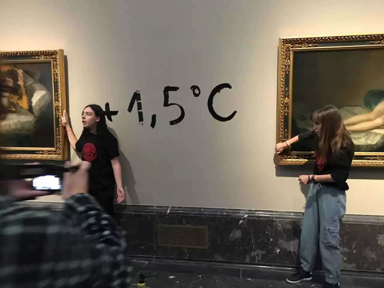 Activists glue themselves to Goya paintings in Spanish climate protest