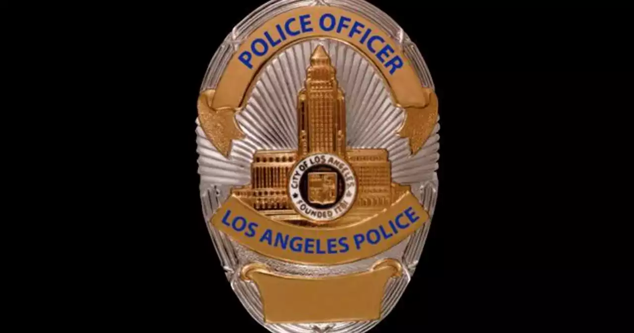 LAPD respond to possible hoax call of school shooting