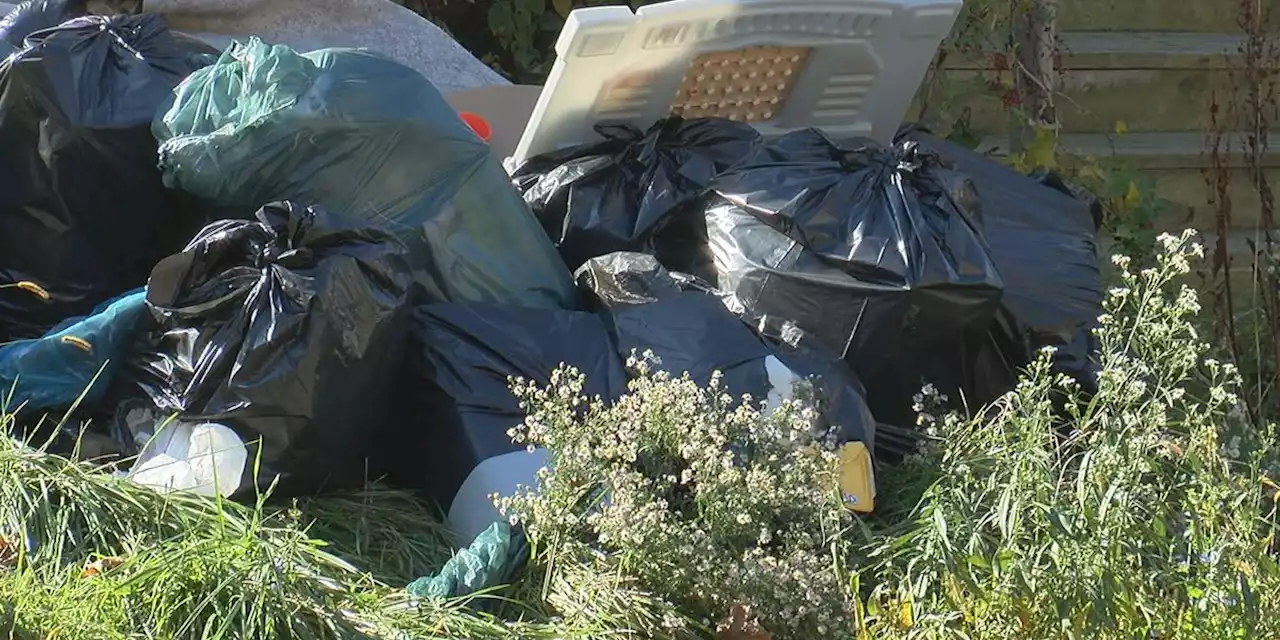 Cleveland crews clean up dumping site 2 hours after Troubleshooters call for help