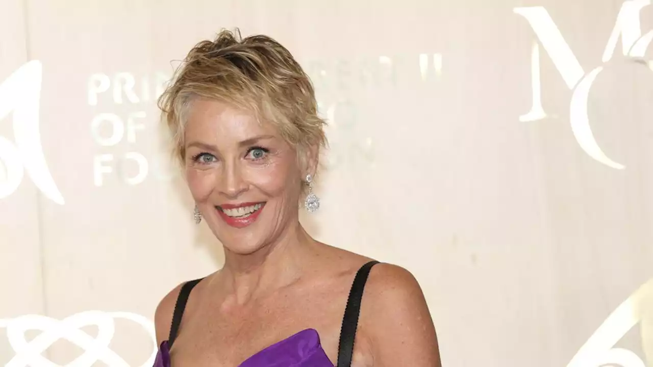 Sharon Stone opérée d'une tumeur : les médecins se sont-ils trompés sur le diagnostic ?