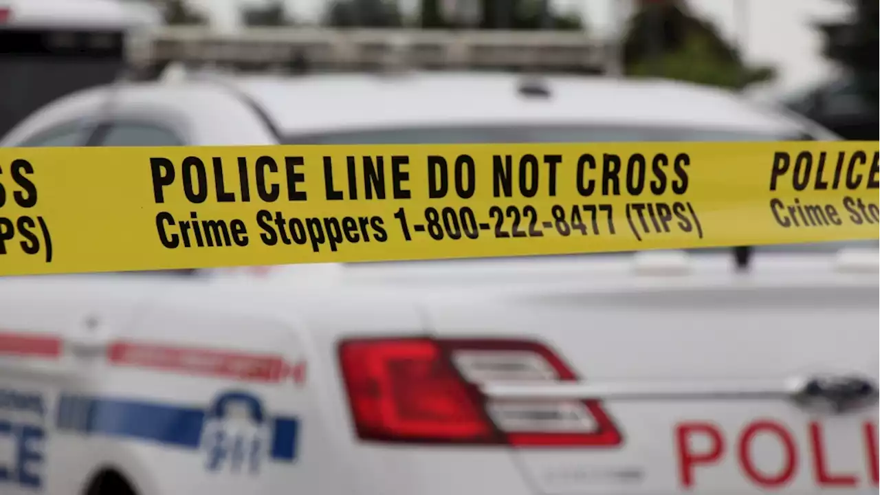 One person dead, another in custody after stabbing in Pickering