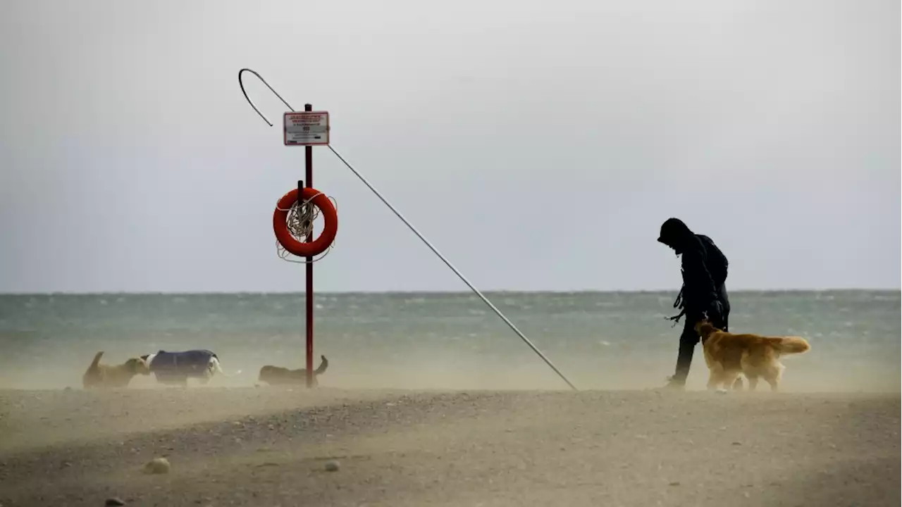 Strong winds, possible power outages expected to hit much of southern Ontario today