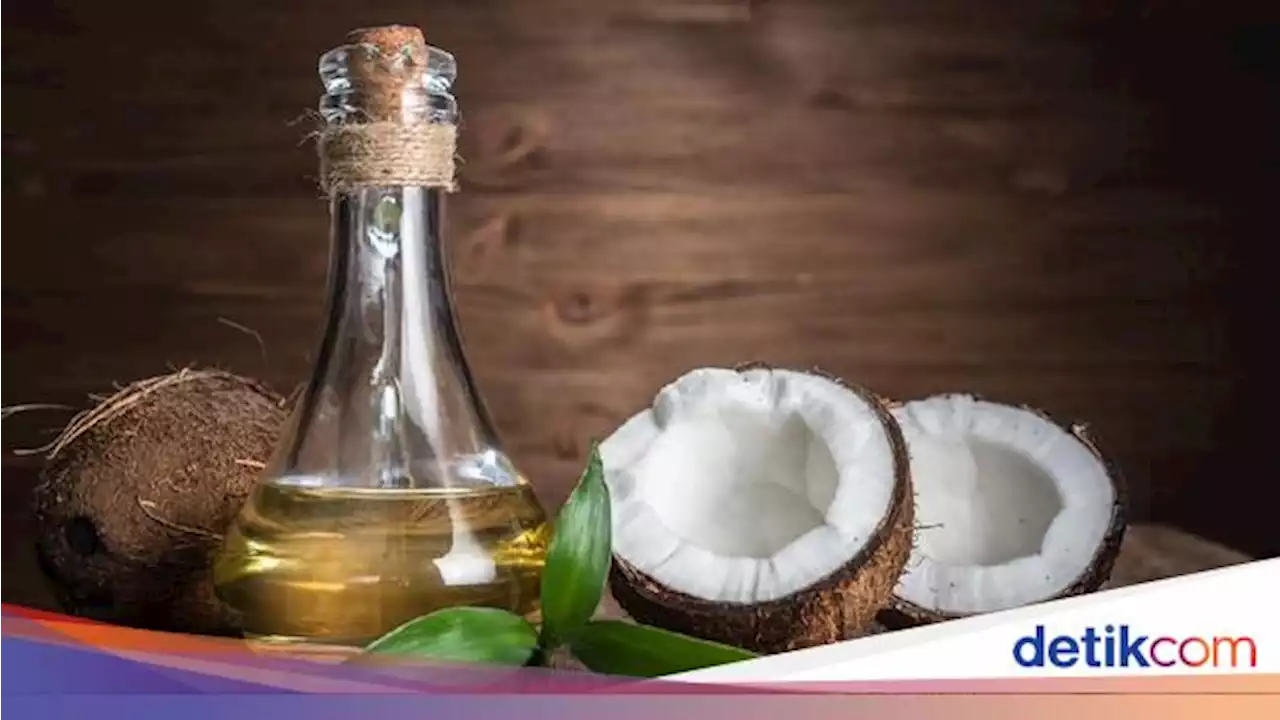 Emiten Pengolah Kelapa Ini Kantongi Laba Miliaran, Melesat 205%