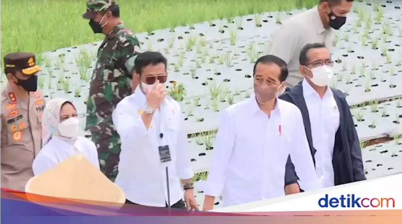 Petani Minta Harga Dasar Gula Naik, Jokowi: Nanti Saya Rapat dengan Menteri