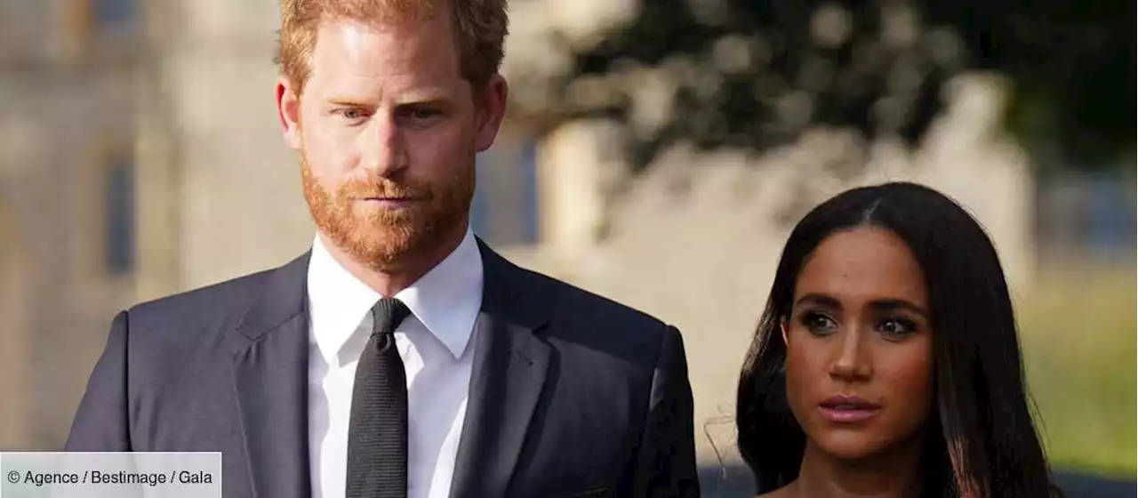 Mémoires explosives du prince Harry : Meghan Markle devrait mettre son grain de sel ! - Gala