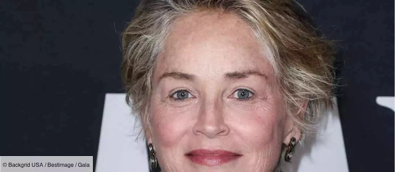 Sharon Stone malade : ses médecins lui ont détecté “une grosse tumeur” - Gala