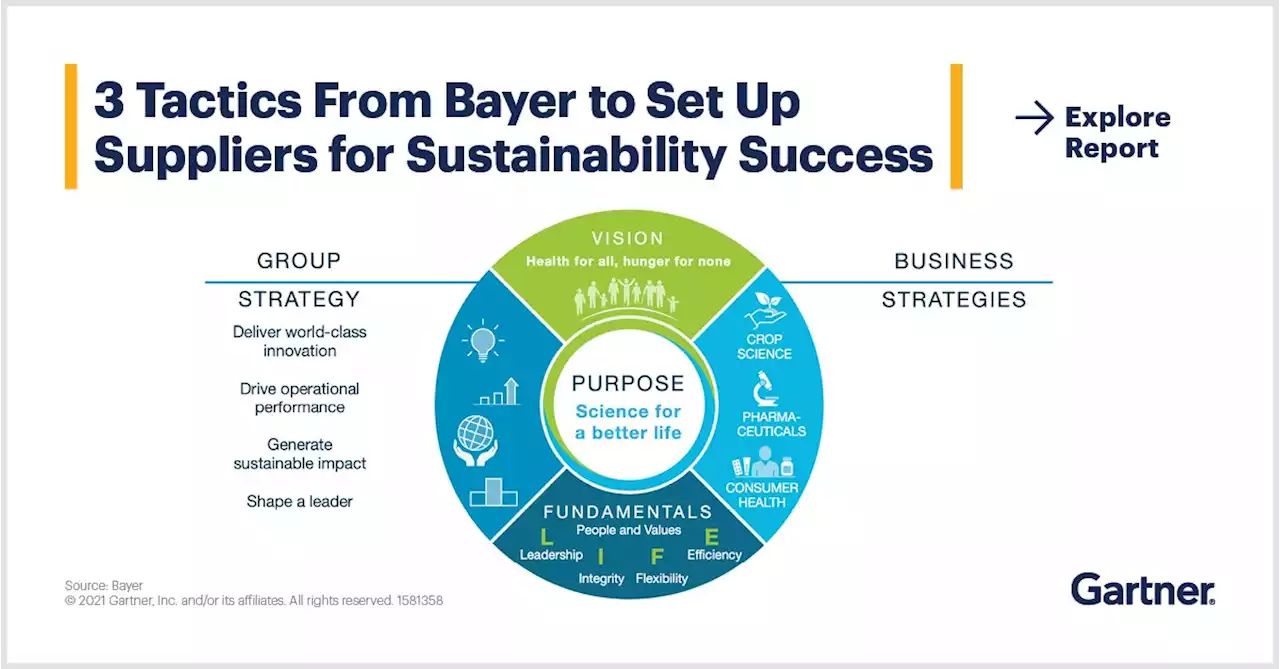 Bayer's Supplier Sustainability Success | Gartner