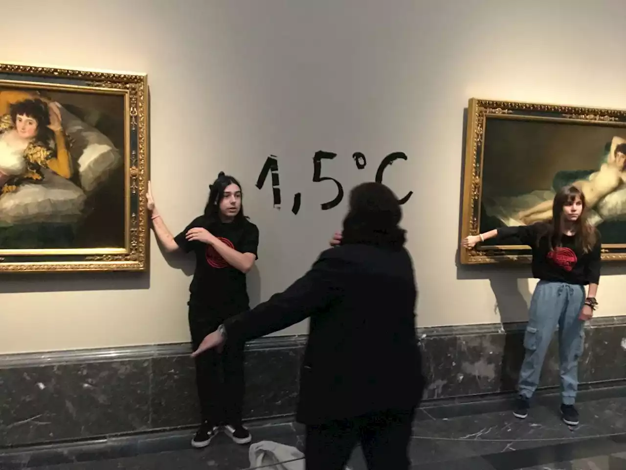 Activists glue themselves to Goya paintings in Spain climate protest