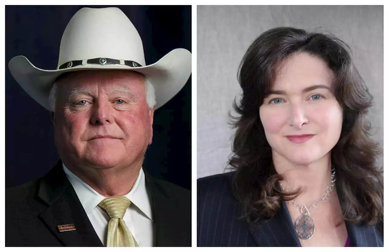 Texas midterm elections: What to know about the land, railroad and agriculture commissioners