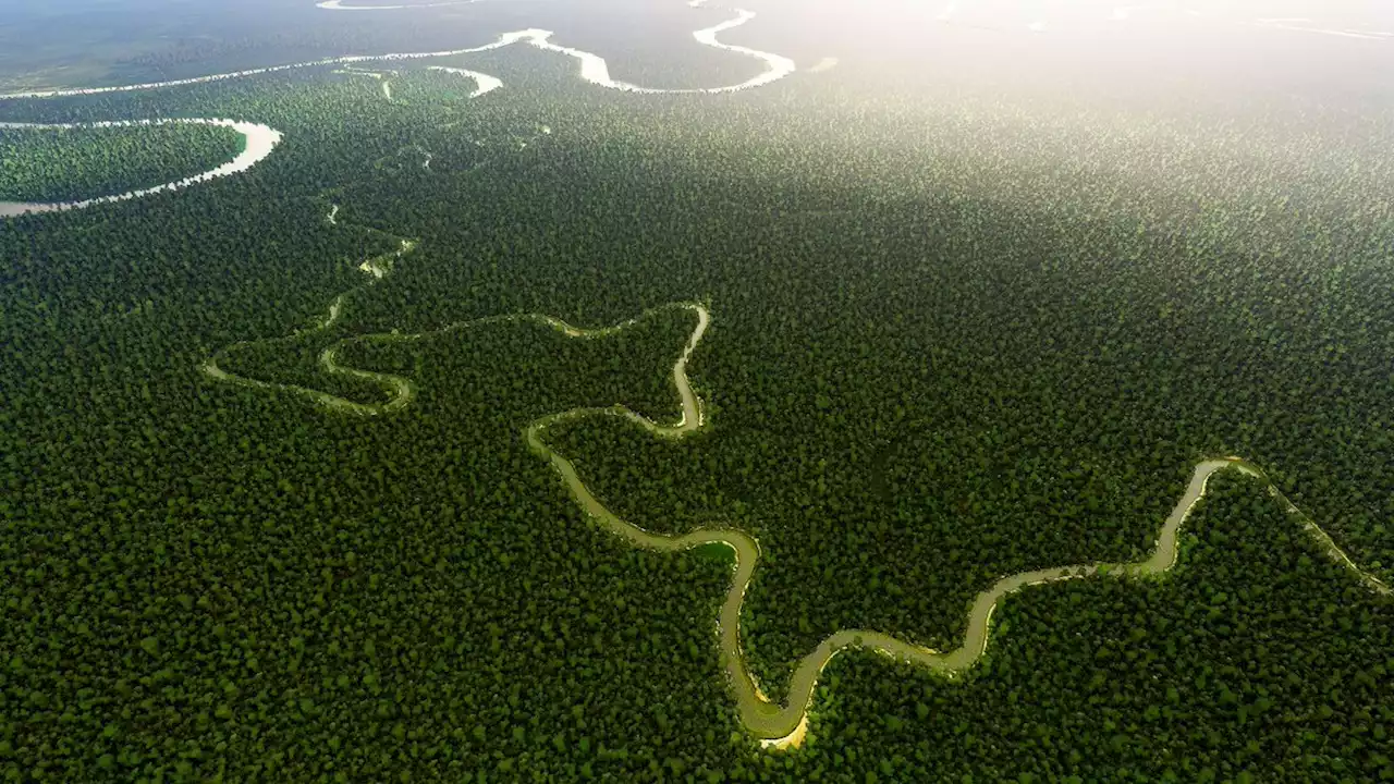 Archeologists have discovered 11 ‘lost’ settlements beneath the Amazon