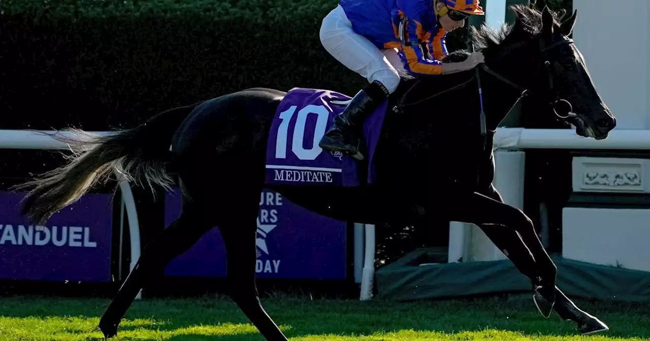 Aidan O’Brien completes Breeders’ Cup double as Meditate and Victoria Road triumph in Kentucky