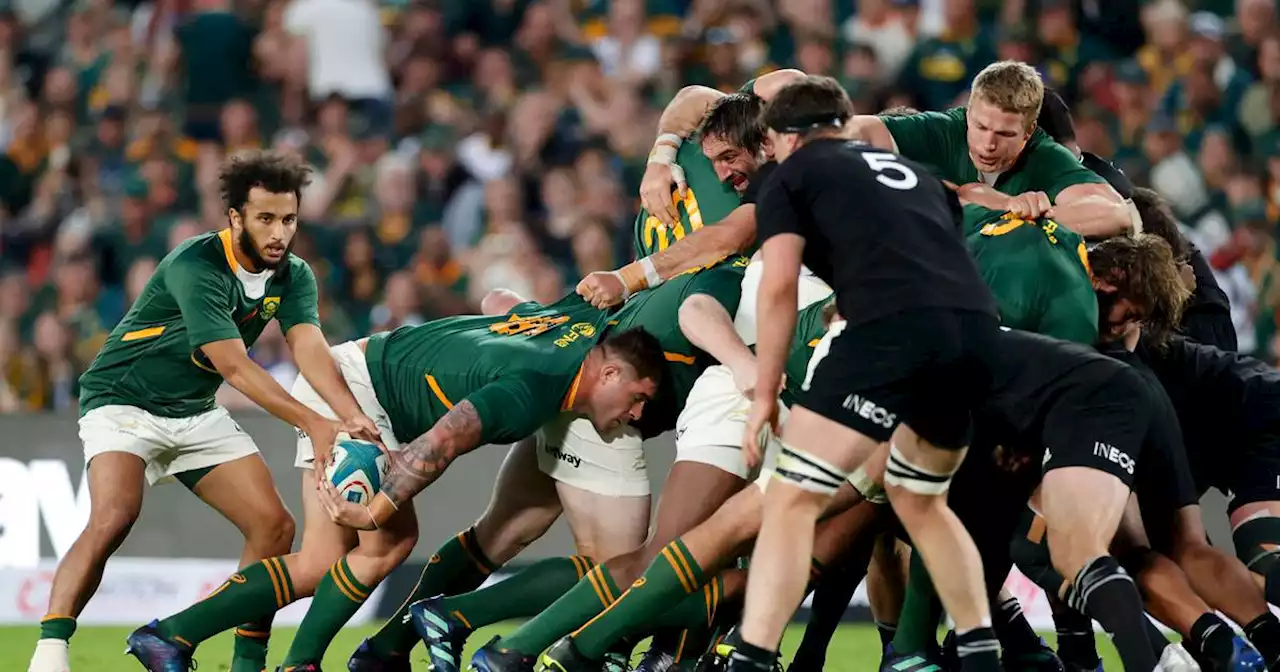 Matt Williams: Ireland can find a way to break Springboks’ stranglehold