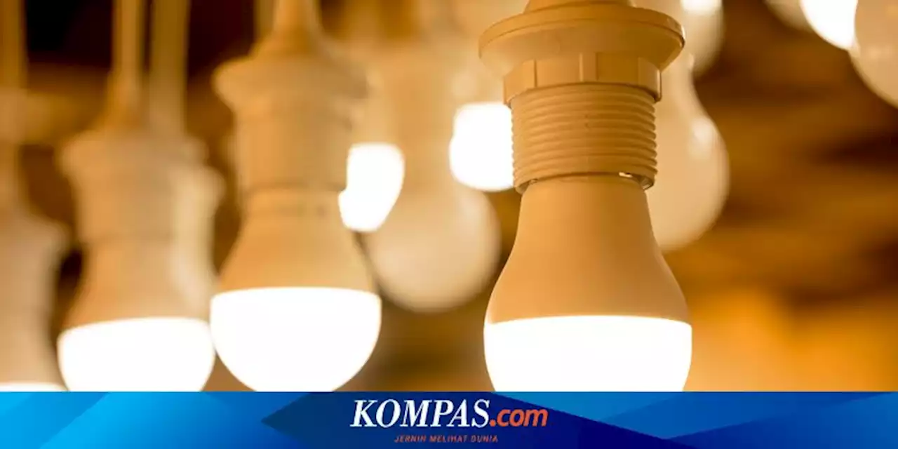 5 Pilihan Warna Lampu LED yang Perlu Diketahui agar Tidak Salah Beli