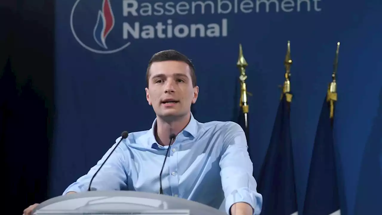 Rassemblement national : 7 choses à savoir sur Jordan Bardella, favori pour prendre la tête du parti