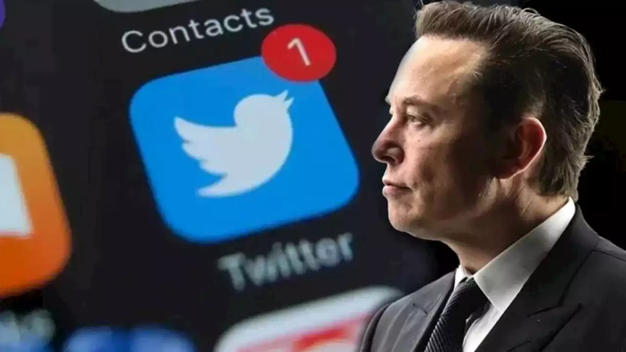 'Empresa perdía 4 mdd al día', dice Elon Musk tras recorte de personal en Twitter