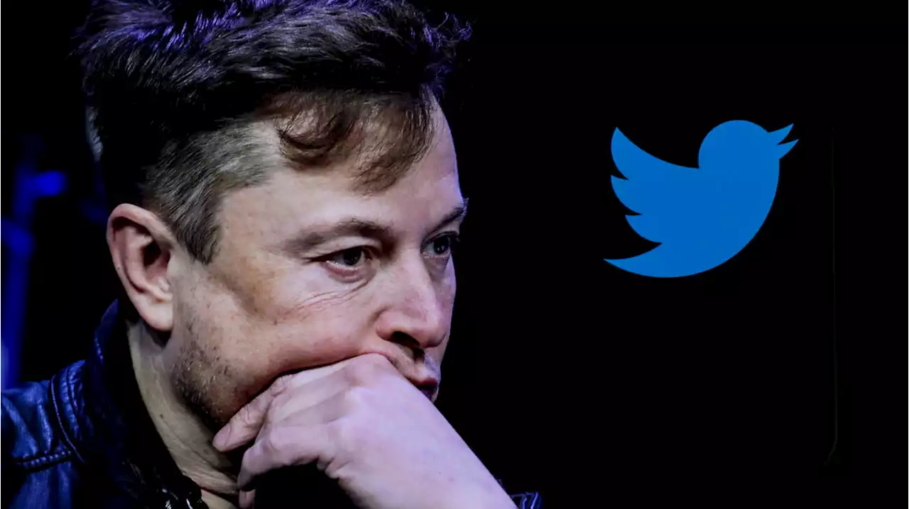 Elon Musk defends slashing Twitter workforce saying social media firm ‘loses more than $4m a day’