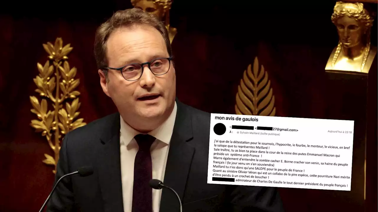 Visé par un torrent d'insultes, le patron par intérim des députés Renaissance reçoit le soutien de nombreux élus