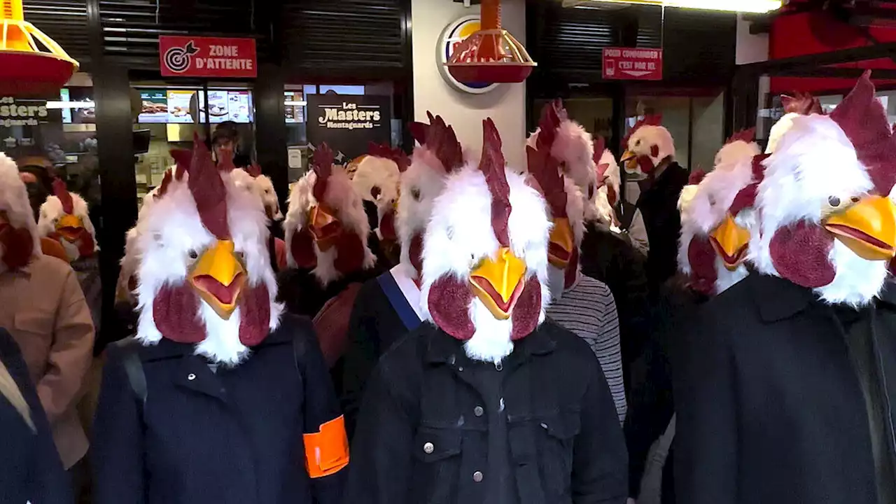 VIDÉO. Paris : 100 militants déguisés en poulets occupent le Burger King des Halles