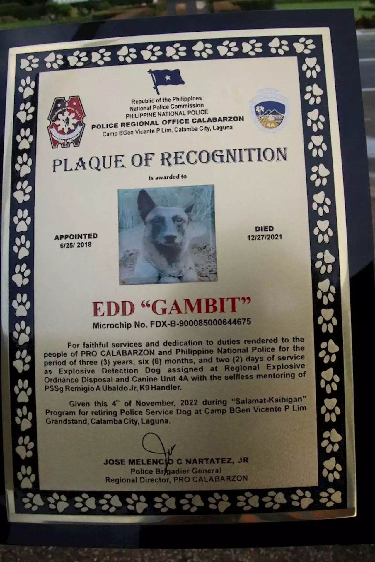 2 Calabarzon police bomb-sniffing dogs honored in retirement ceremony