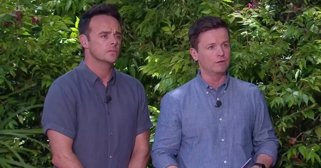 I'm A Celeb viewers call for Ant and Dec to quit show as scathing letter emerges