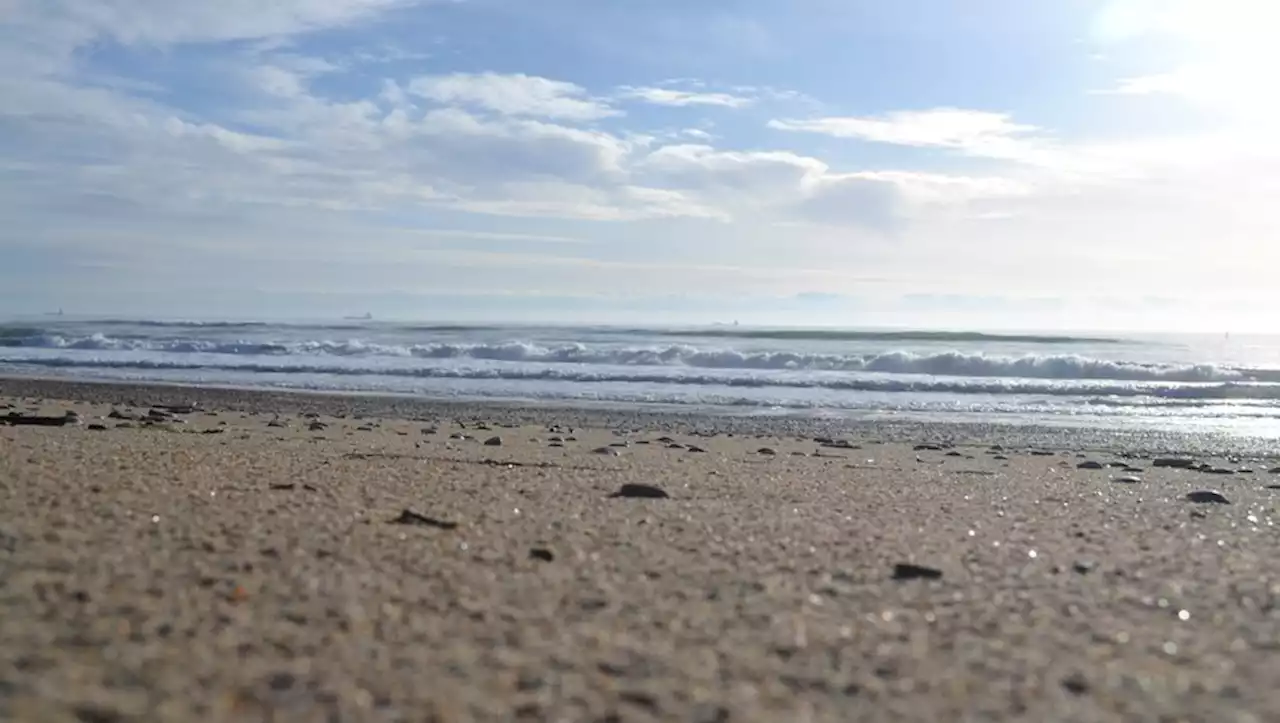 Carnon : un promeneur découvre le corps sans vie d'une femme flottant dans 50 cm d’eau au bord de la plage