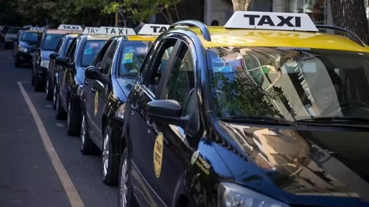 Aumenta 20% el servicio de taxis en Ciudad: cuánto costará la ficha