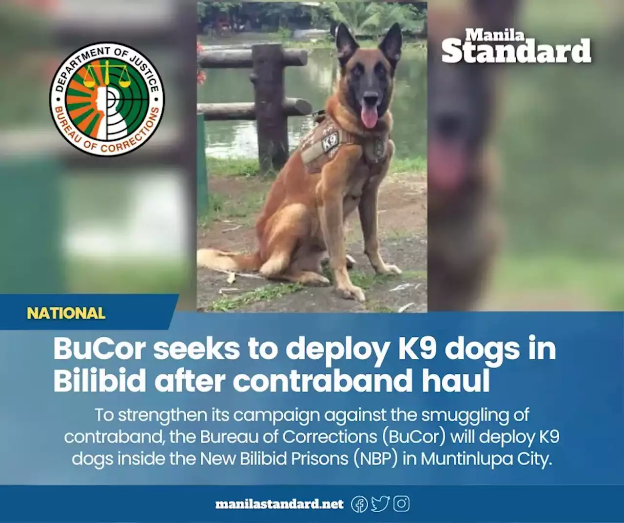 BuCor seeks to deploy K9 dogs in Bilibid after contraband haul