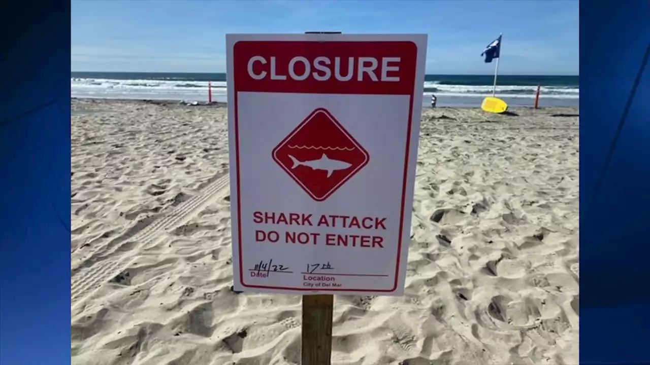 Woman Attacked By Shark in Del Mar, Lifeguards Close Beach