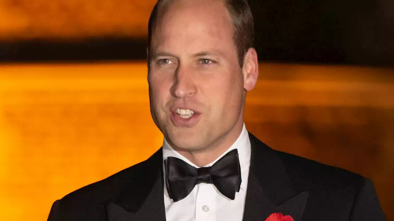 Prince William Will Be in Boston on Dec. 2 to Film Earthshot Prize Ceremony