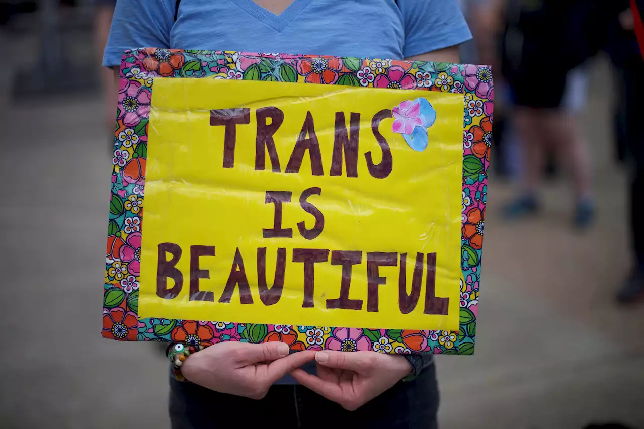 Florida medical boards ban gender transition procedures for minors