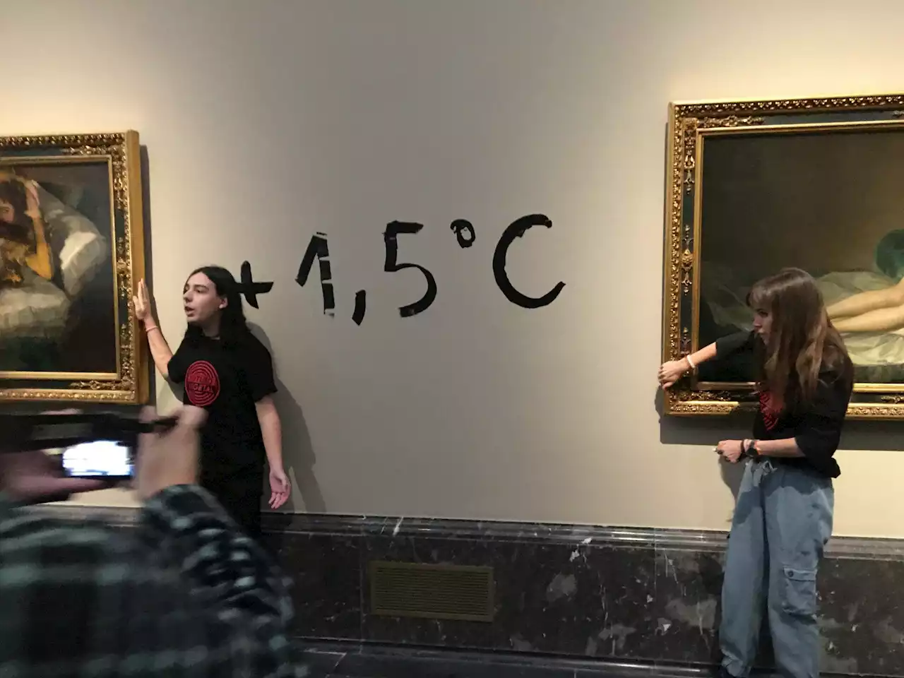 Activists glue themselves to Goya paintings in Spanish climate protest