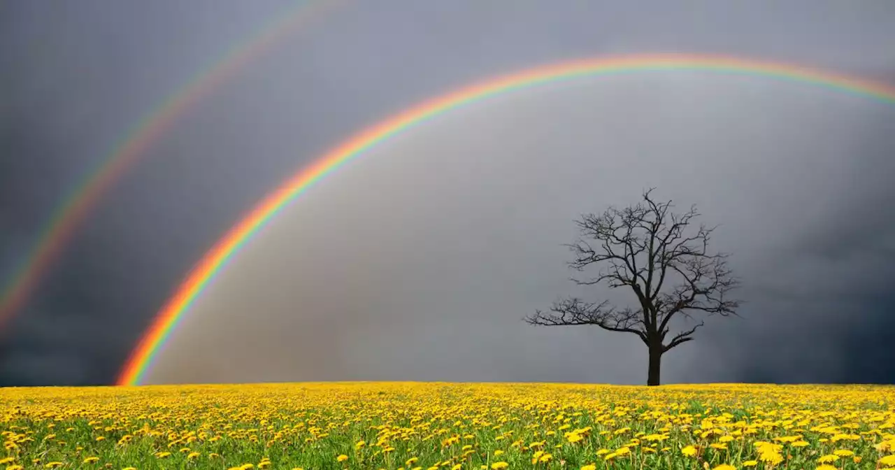 Climate change to produce more rainbows—study