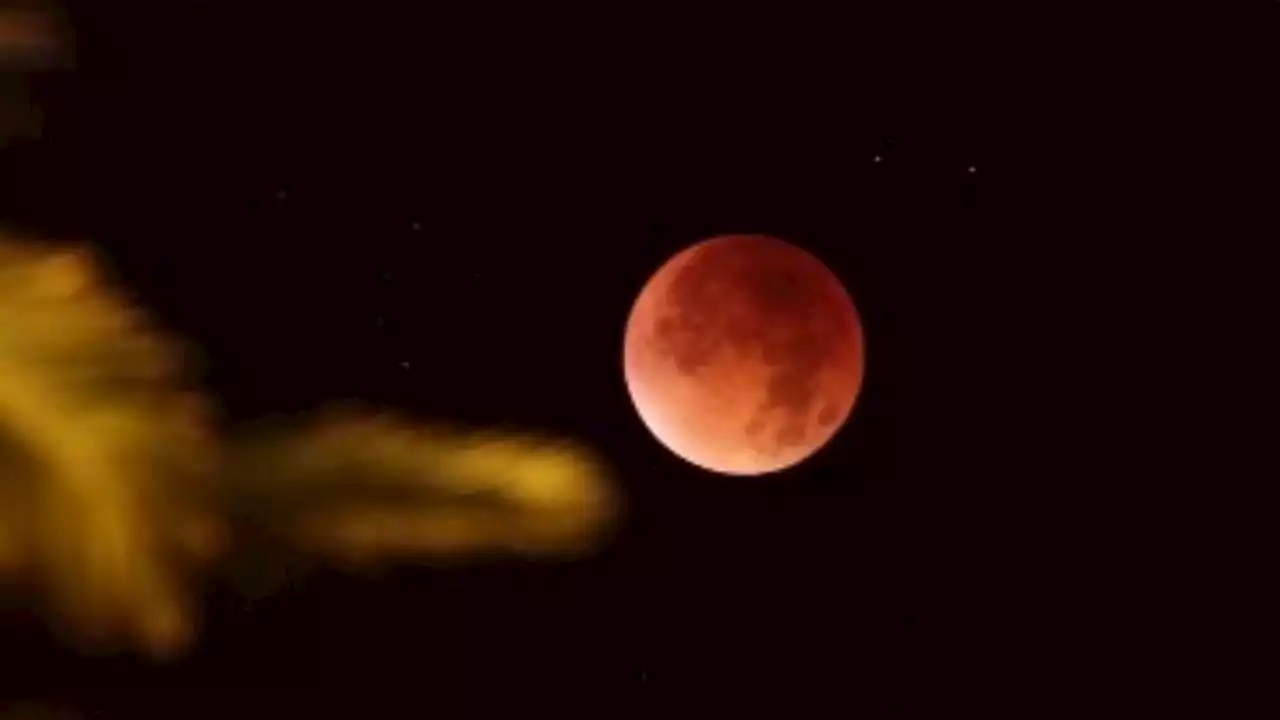 Esto se sabe del próximo eclipse total de Luna; el próximo ocurrirá hasta 2025