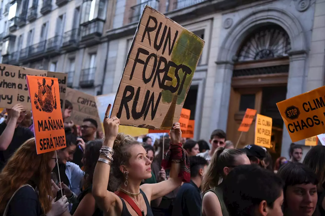 COP27: de la decepción a la rebelión
